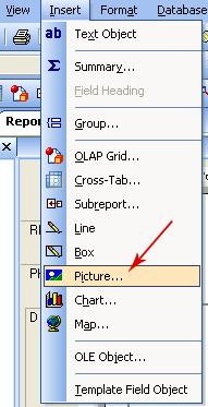 Inserting a picture object in Crystal Reports