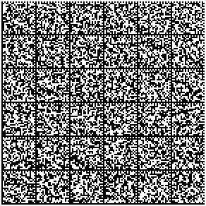 Data Matrix, 132x132