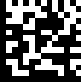Displaying Data Matrix barcode using TrueType font