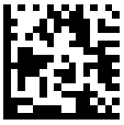 DATA MATRIX barcode in SSRS