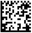 GS1 DATA MATRIX barcode in SSRS